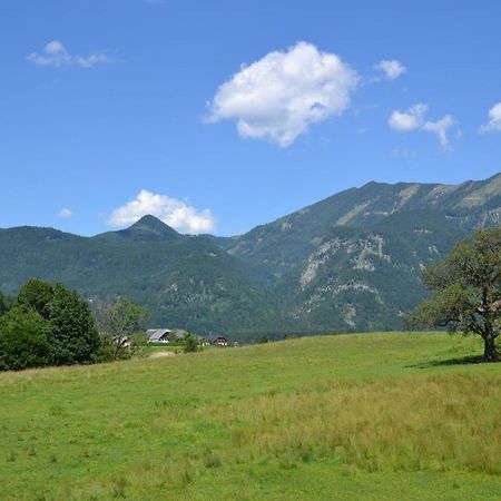 Coralie Appartement Strobl Buitenkant foto