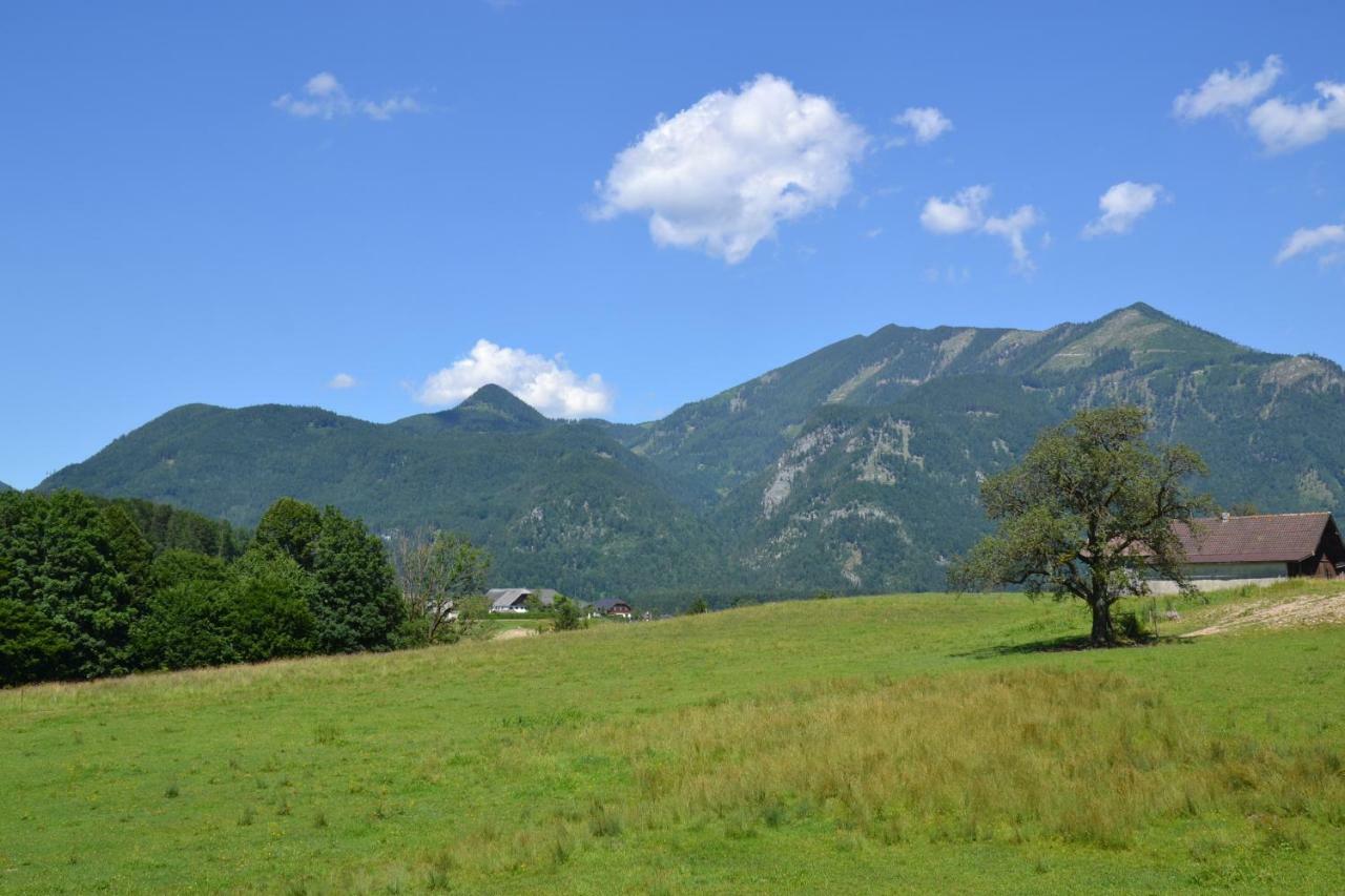 Coralie Appartement Strobl Buitenkant foto