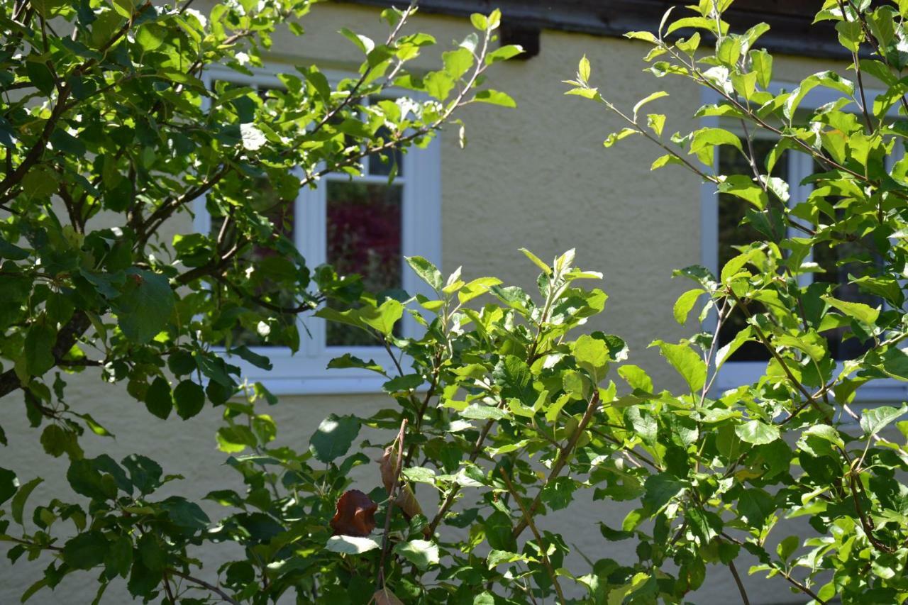 Coralie Appartement Strobl Buitenkant foto